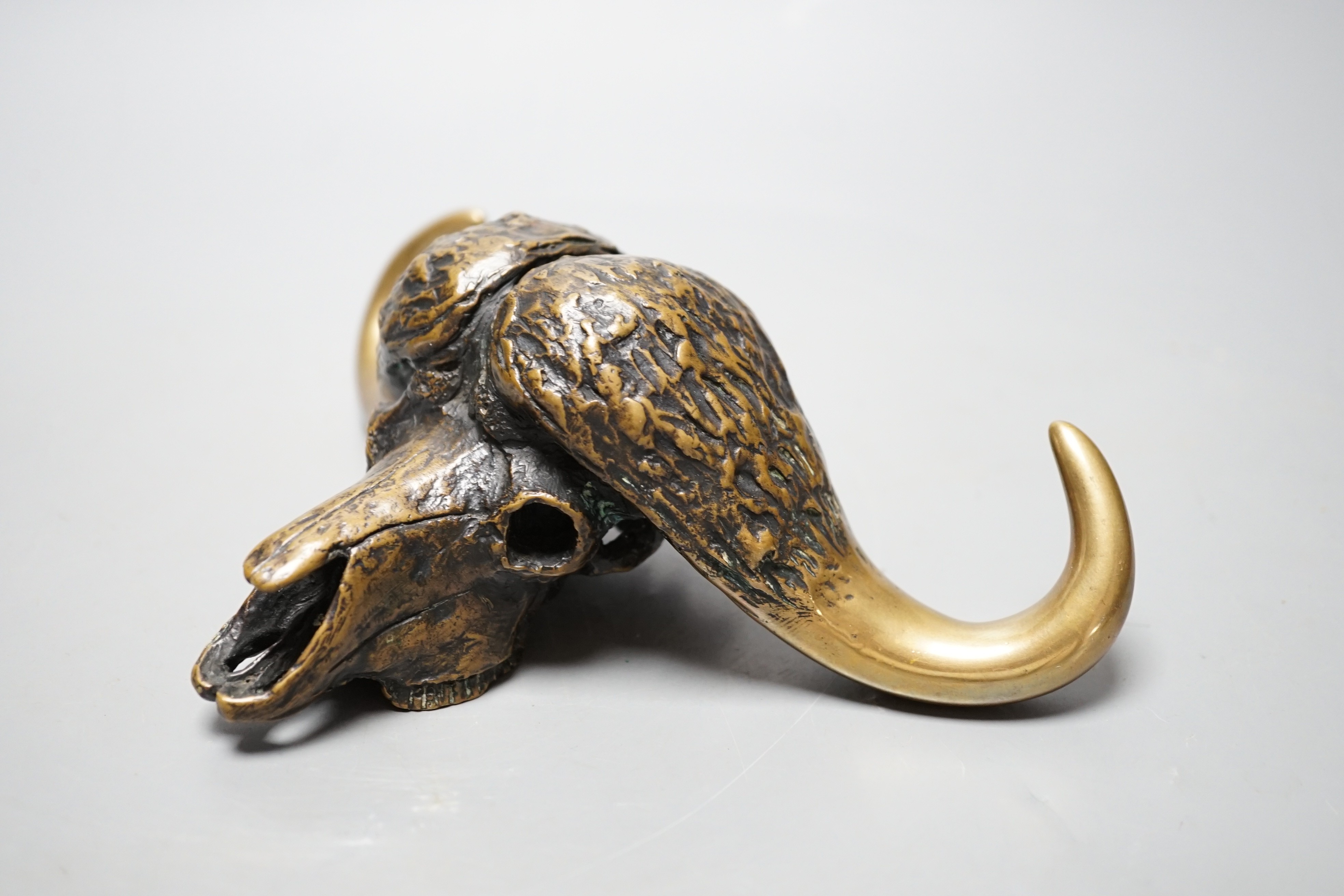 Robert Green, bronze model of a water buffalo skull, 18cm long